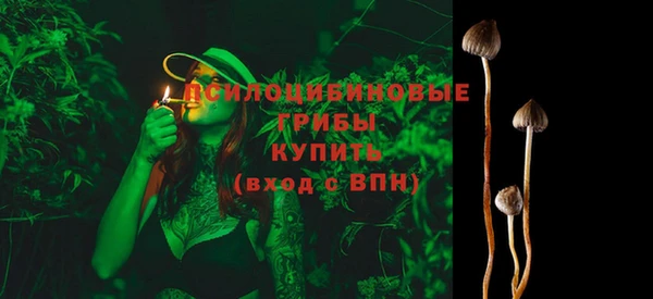 гидра Волосово