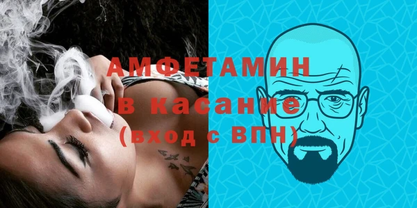 сатива Верея