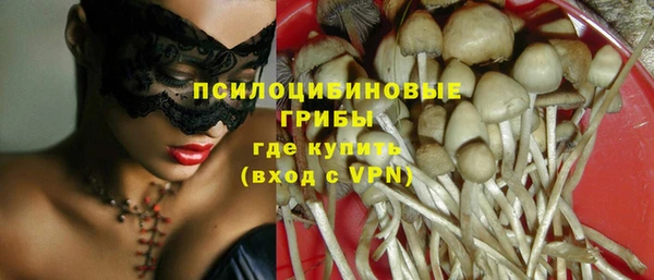 гидра Волосово